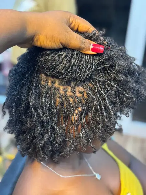 Sisterlocks Premium